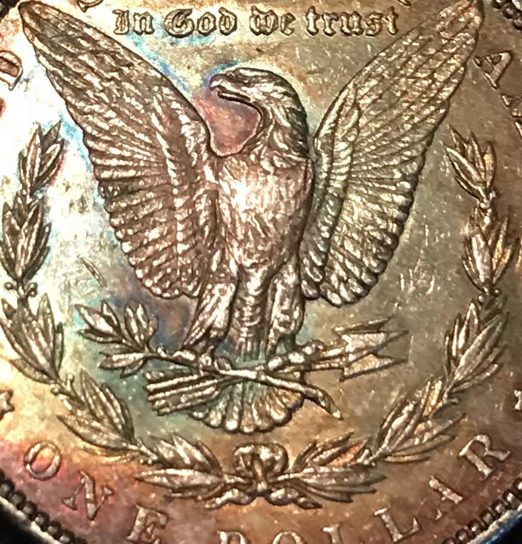 1886-S-Possibly-Morgan-Dollar-Grading