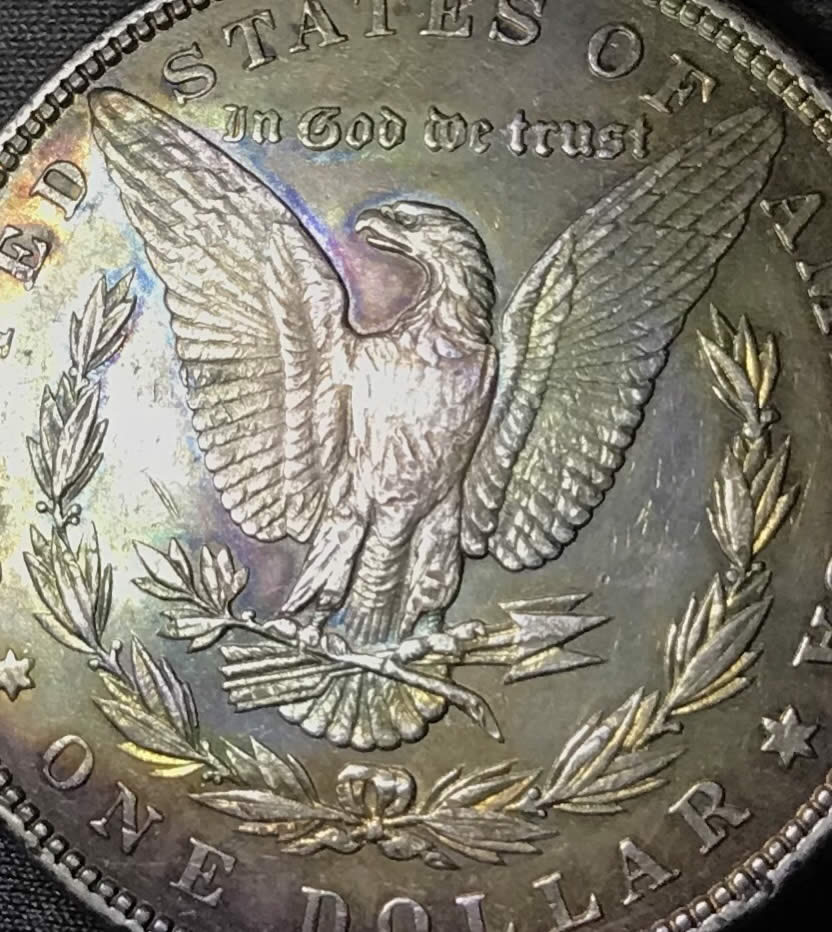 1886-S-Possibly-Morgan-Dollar-Grading