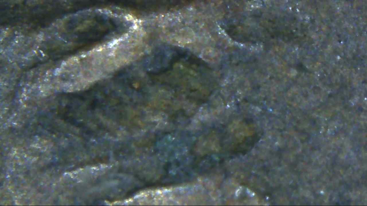 1853-One-Cent-Error-On-Date