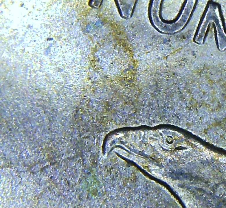 2000-P-Sacajawea-Coin-Possible-Errors