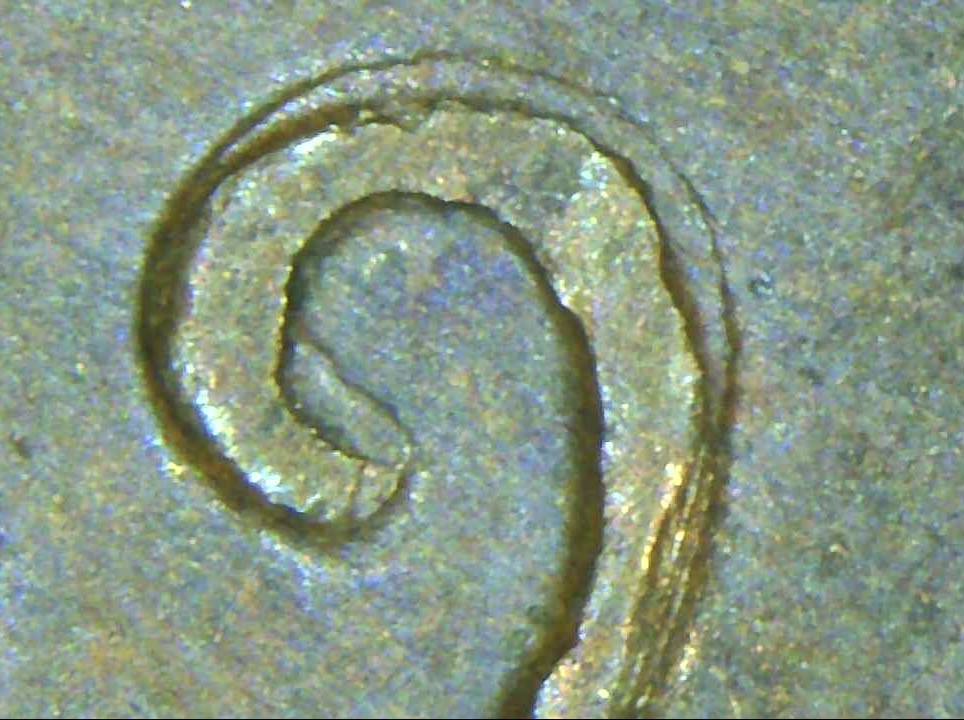 1969-S-Penny-DDO?-What's-Up?