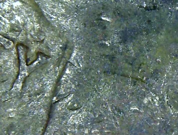 2001-New-York-State-Quarter-Error!