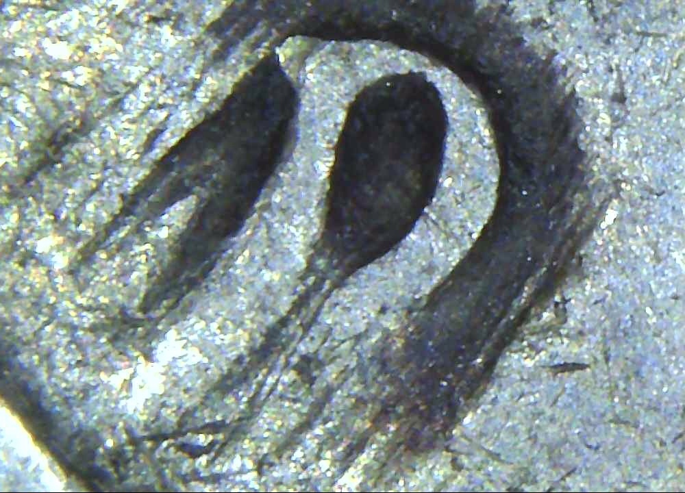 1945-D-Walking-Liberty-Clipped-Planchet