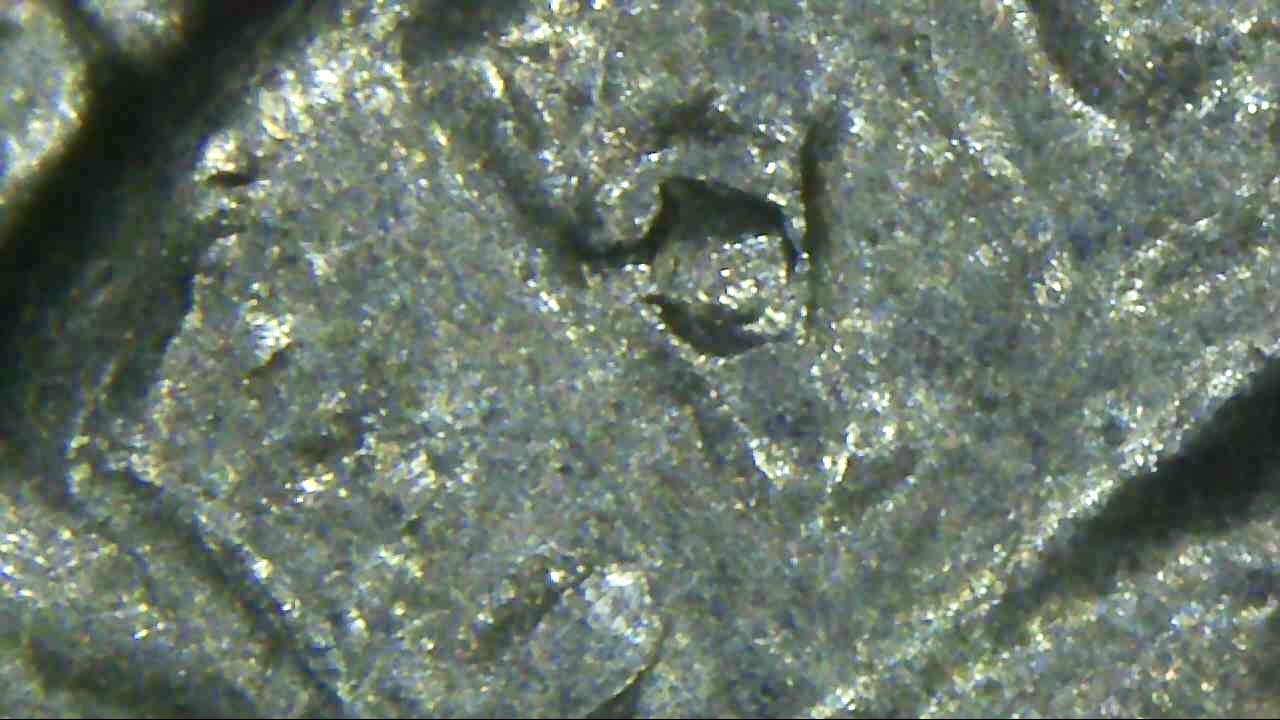 1984-P-Kennedy-Half-Dollar-Errors