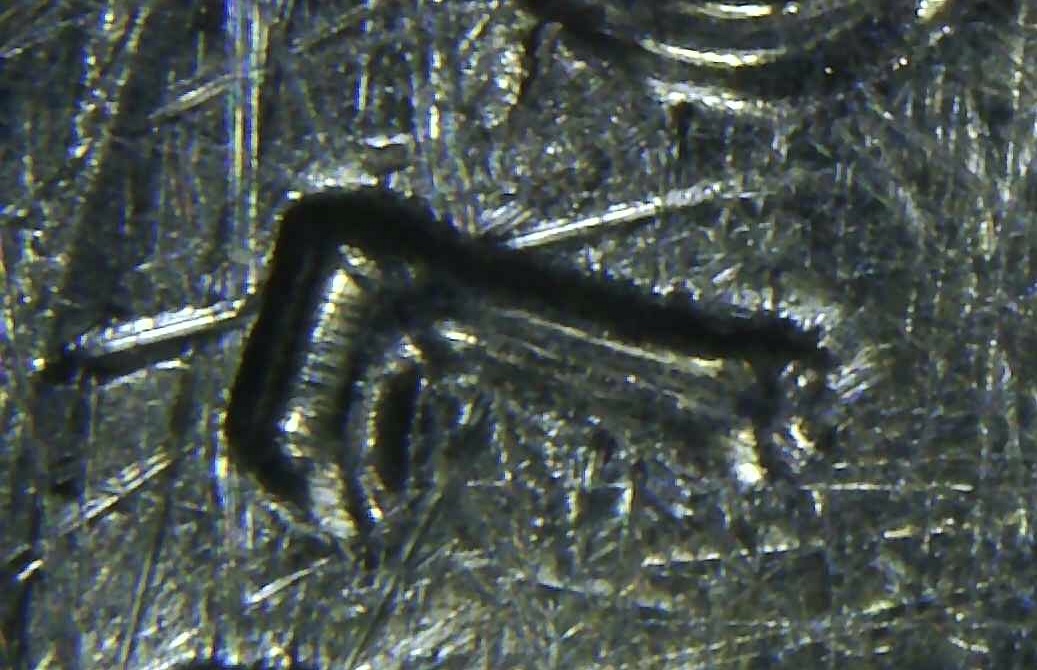 2015-D-Washington-North-Carolina-Error-Quarter