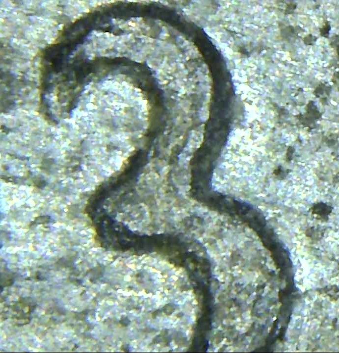 1943-Steel-Cent-Found-In-Wild.-Doubling-And-Die-Crack?