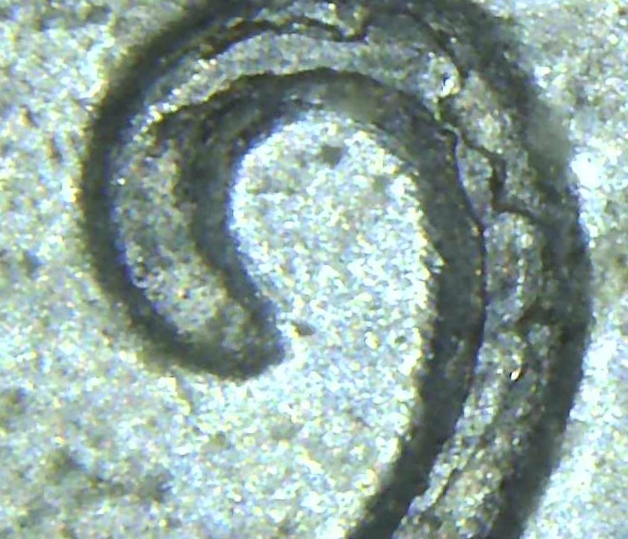 1943-Steel-Cent-Found-In-Wild.-Doubling-And-Die-Crack?