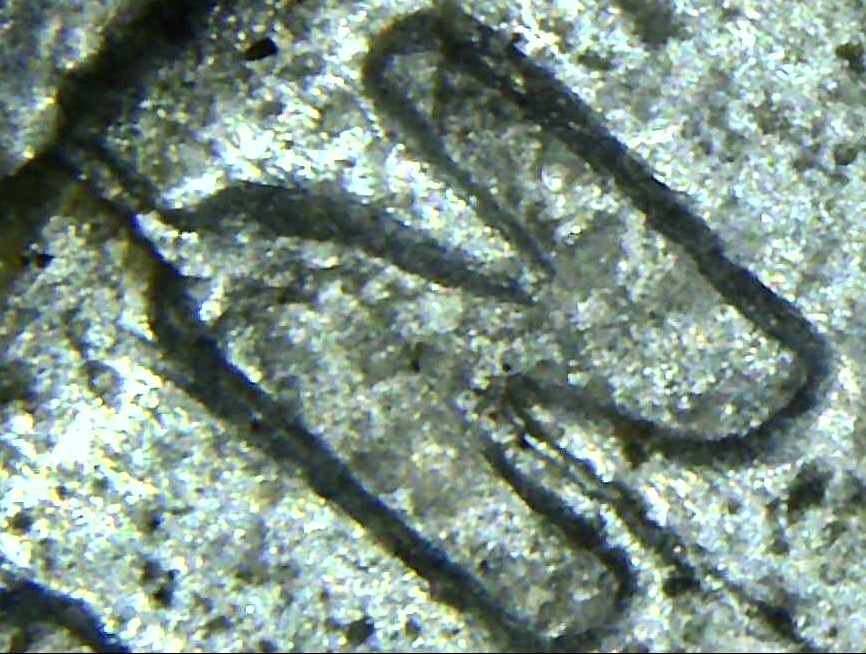 1943-Steel-Cent-Found-In-Wild.-Doubling-And-Die-Crack?
