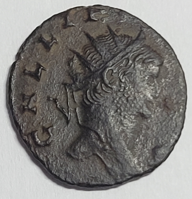 ID-Correct?-Gallienus-With-Panther-On-Reverse?