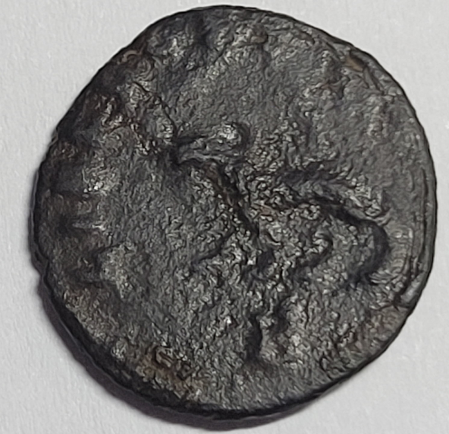 ID-Correct?-Gallienus-With-Panther-On-Reverse?