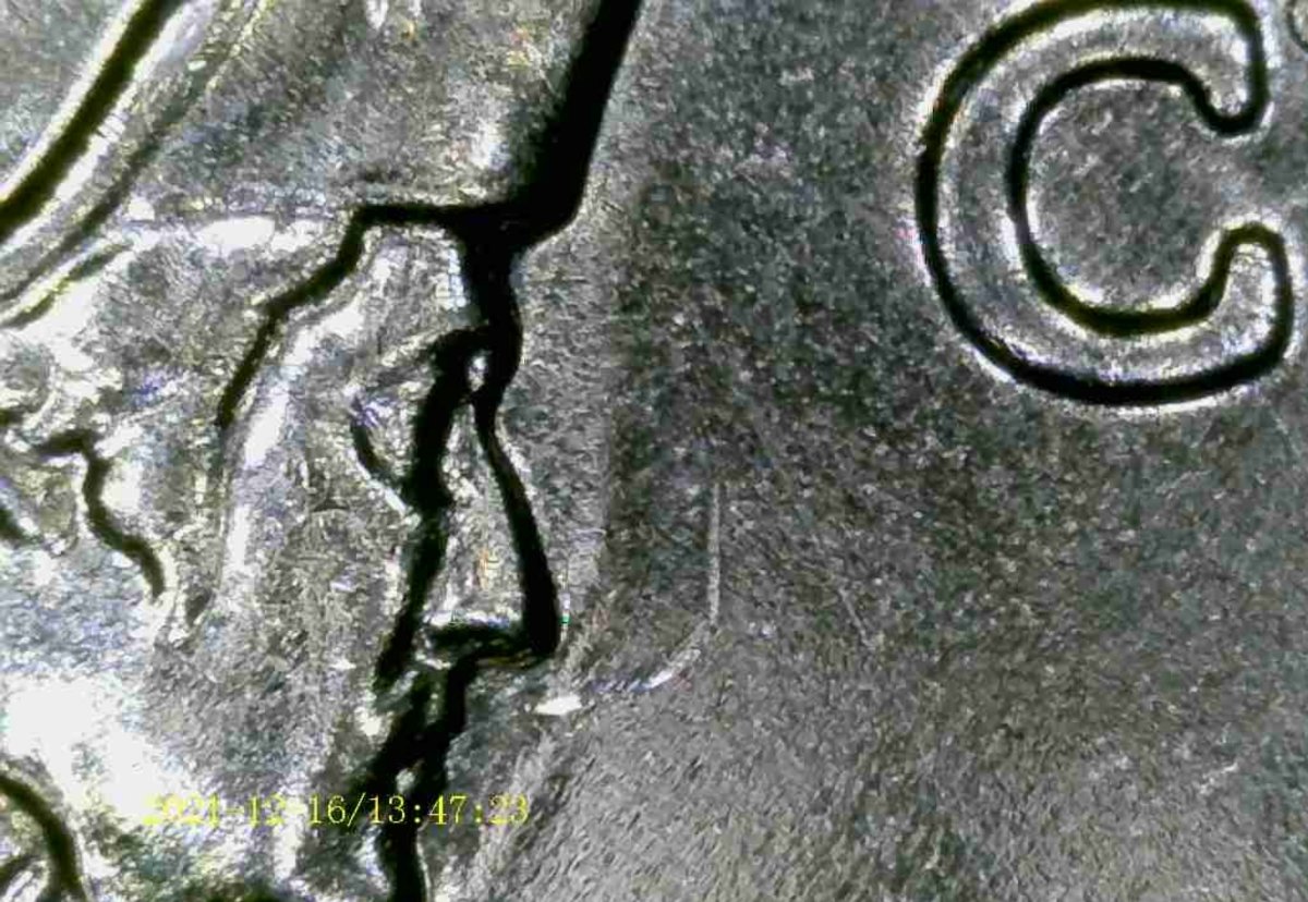 2021-D-Washington-Crossing-Quarter.-What-Would-This-Be-Caused-By?