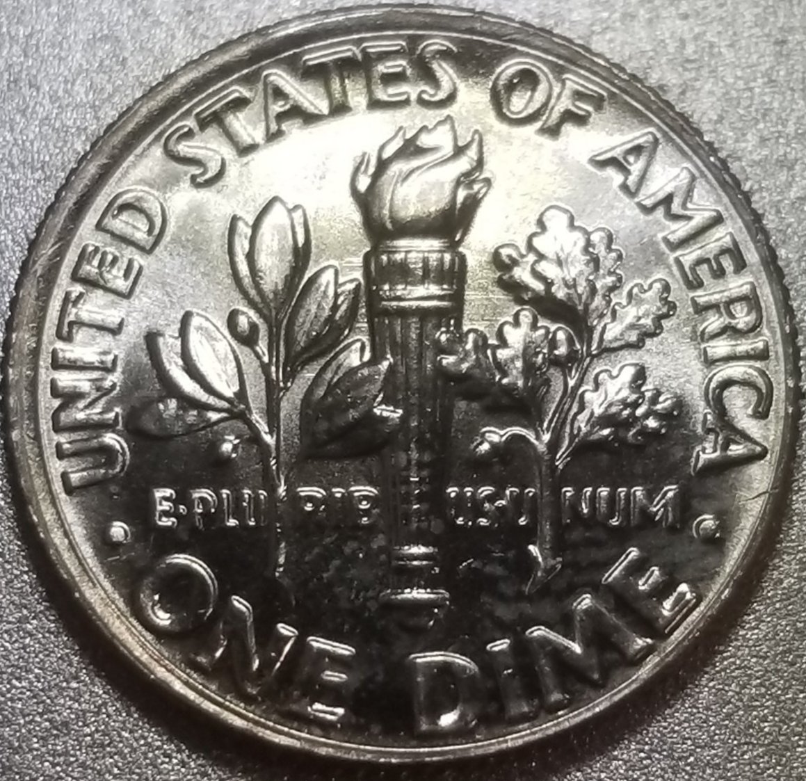 2021-D-Dime--Feeder-Finger-Damage?