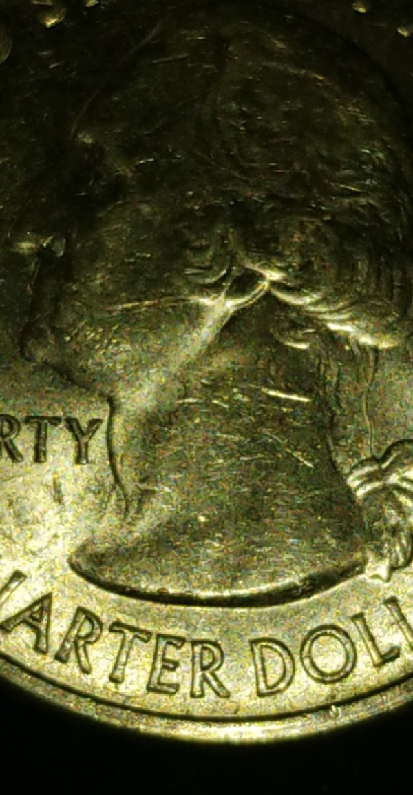 2018-Michigan-ATB-Error-On-Obv.-Double-Ear?