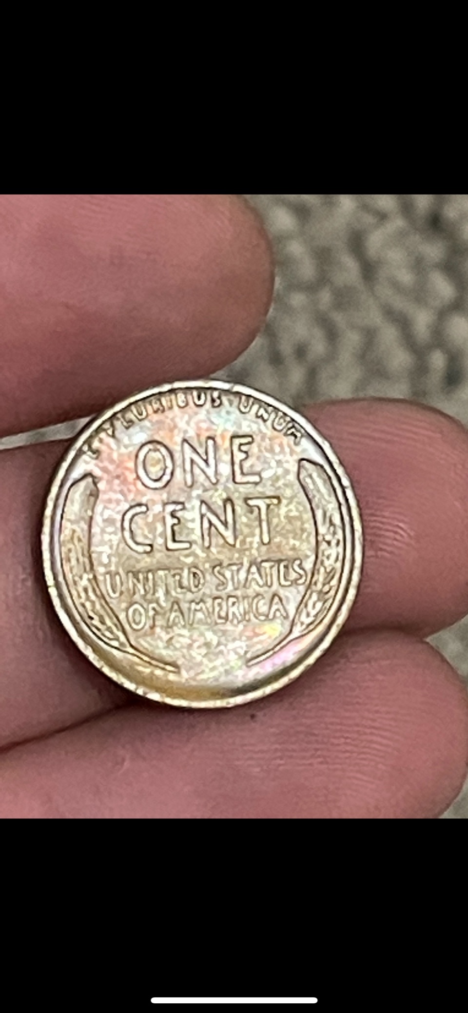 1914-Wheat-That-Is-Regular-Looking-At-It-In-Regular-Light-But-In-The-Right-Angle-It's-Rainbow