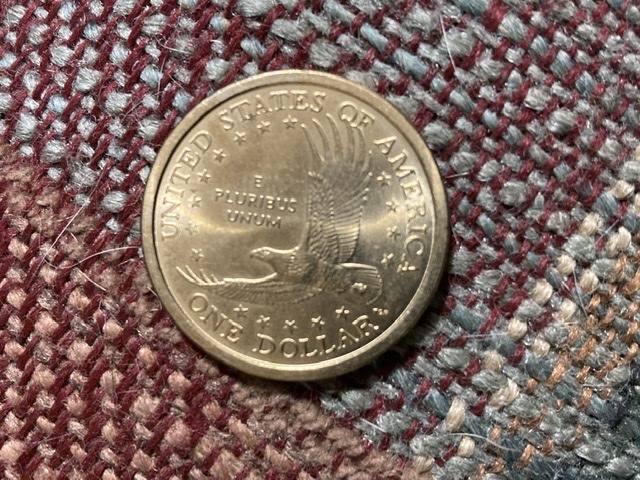 Wounded-Sacagawea-2000-P