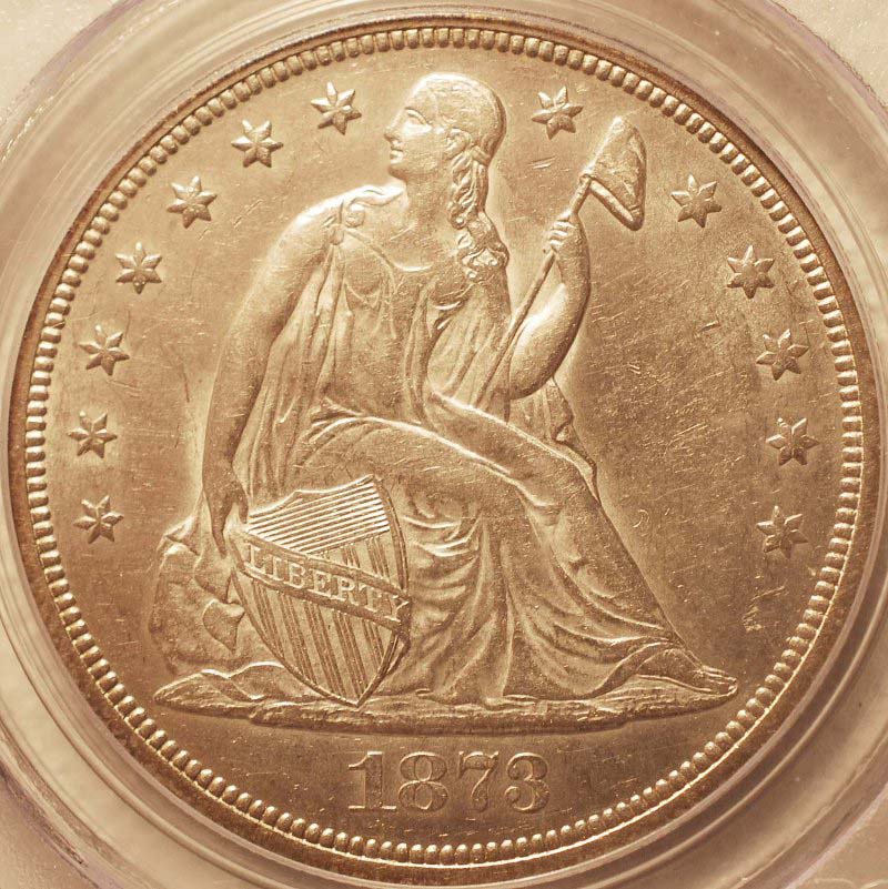 1873-Seated-Dollar:--How-Does-She-Grade?