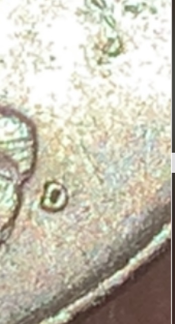 1970-Quarter-Looks-Like-Another-D-Was-Stamped
