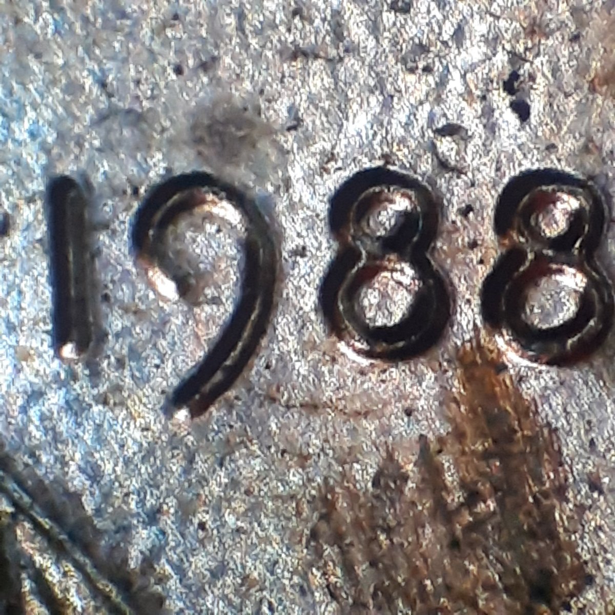 Help-Identifying-A-1988-P-LMC-Double-Ear-1-D0-010