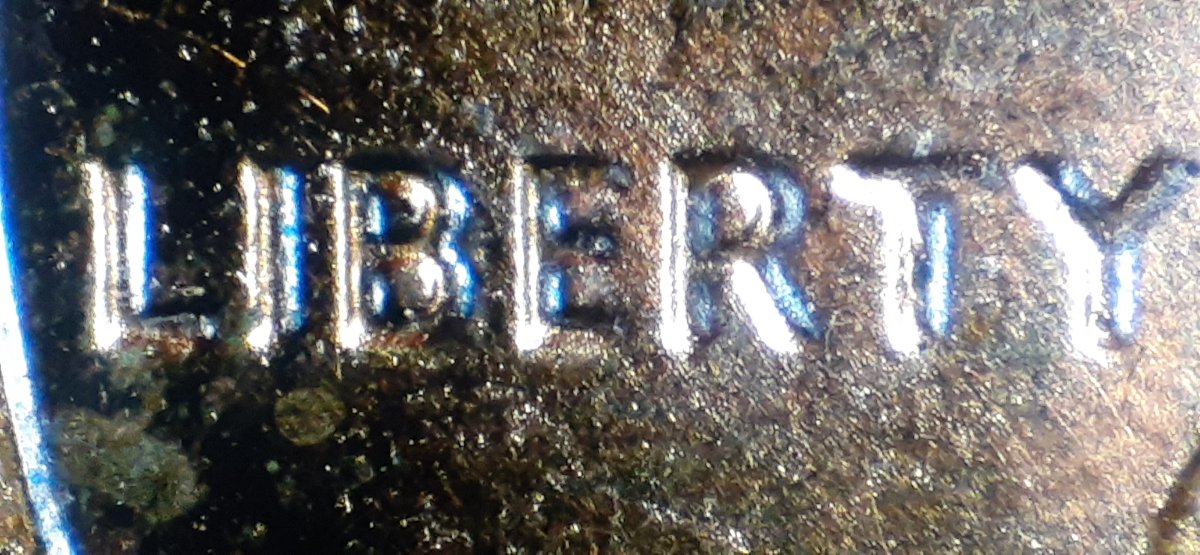 Help-Identifying-A-1988-P-LMC-Double-Ear-1-D0-010