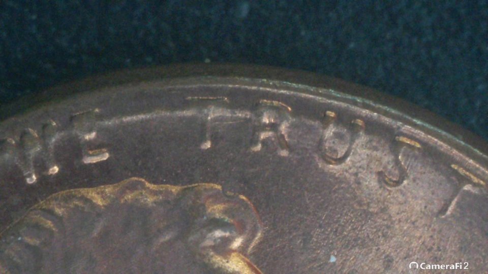 1988-LMC-1-DO-010-Double-Ear-Maybe?