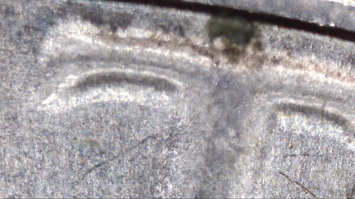1986-D-Half-Dollar-Possible-DDO?