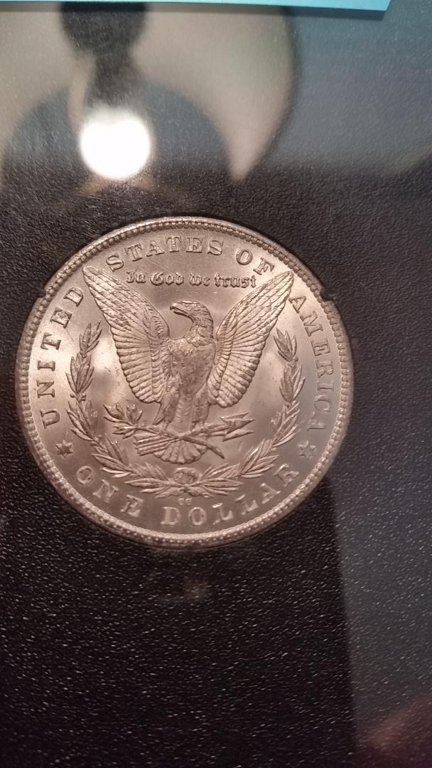 ANACS--Undergrading-Coins