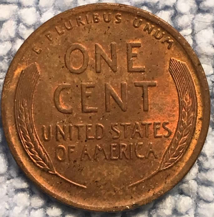 1920-LWC-Your-Opinion-And-Grade