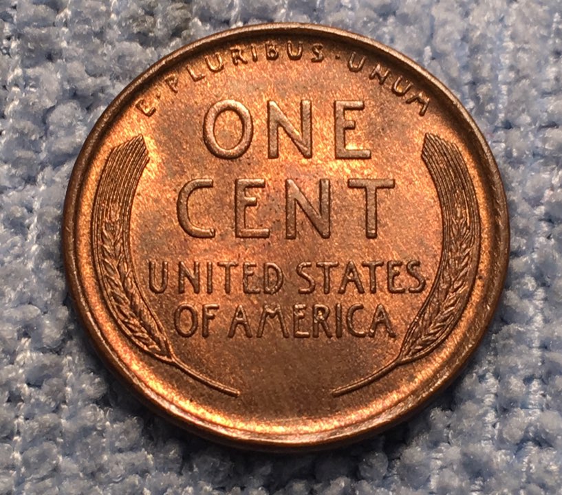 1909-LWC-Picked-Up-Today