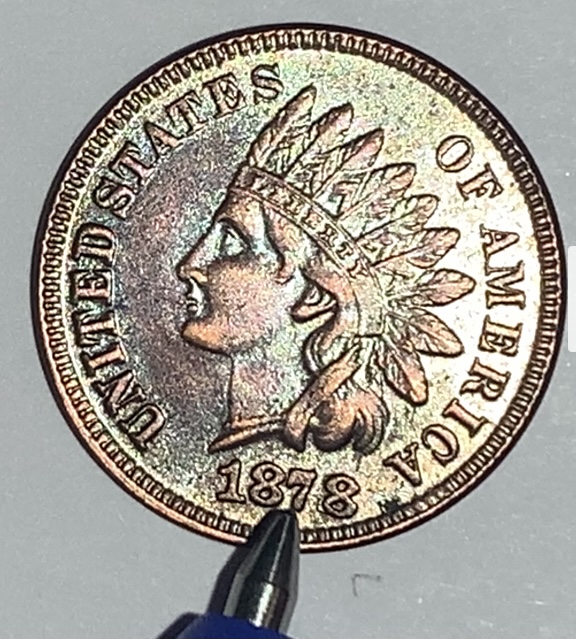 Real-Or-Fake?-1878-Indian-Head