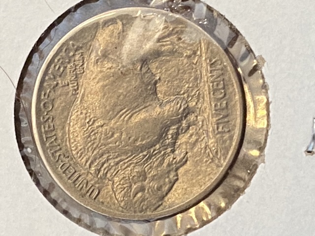 Type-1-1913-P-Buffalo-Nickel-Came-In