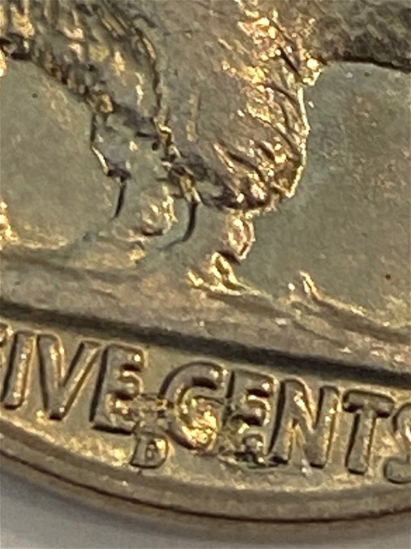 1938-D/S-Buffalo-Nickel-Came-In