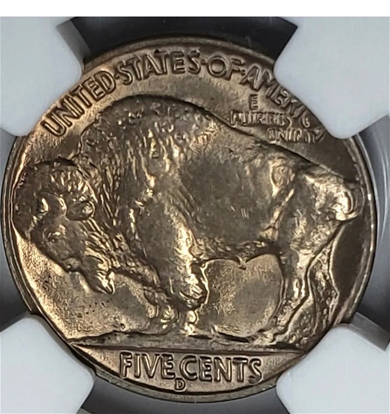 1938-D/S-Buffalo-Nickel-#4