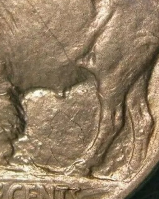 1913-P-Buffalo-Nickel,-With-Possible-Pen-Marks?