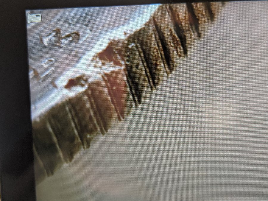 1943-S-Walking-Liberty-Possible-Minting-Damage