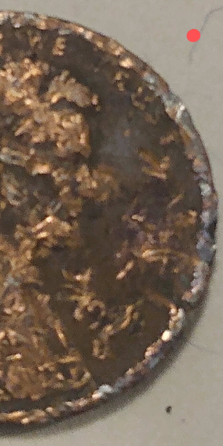 Did-Van-Gogh-Paint-This-Penny?