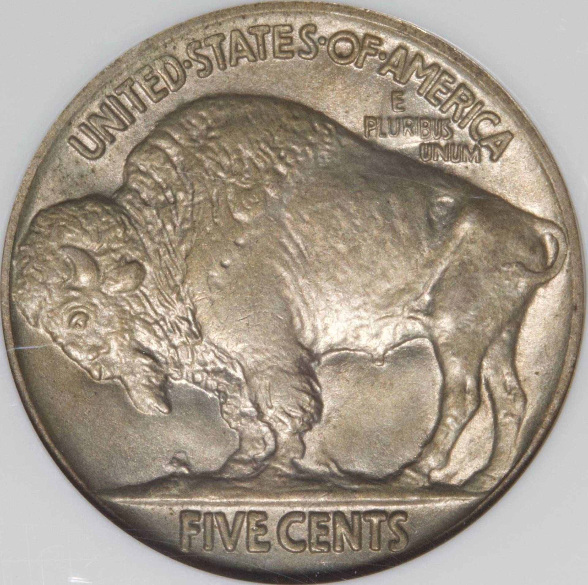 1925-P-Buffalo-Nickel-Please-Grade