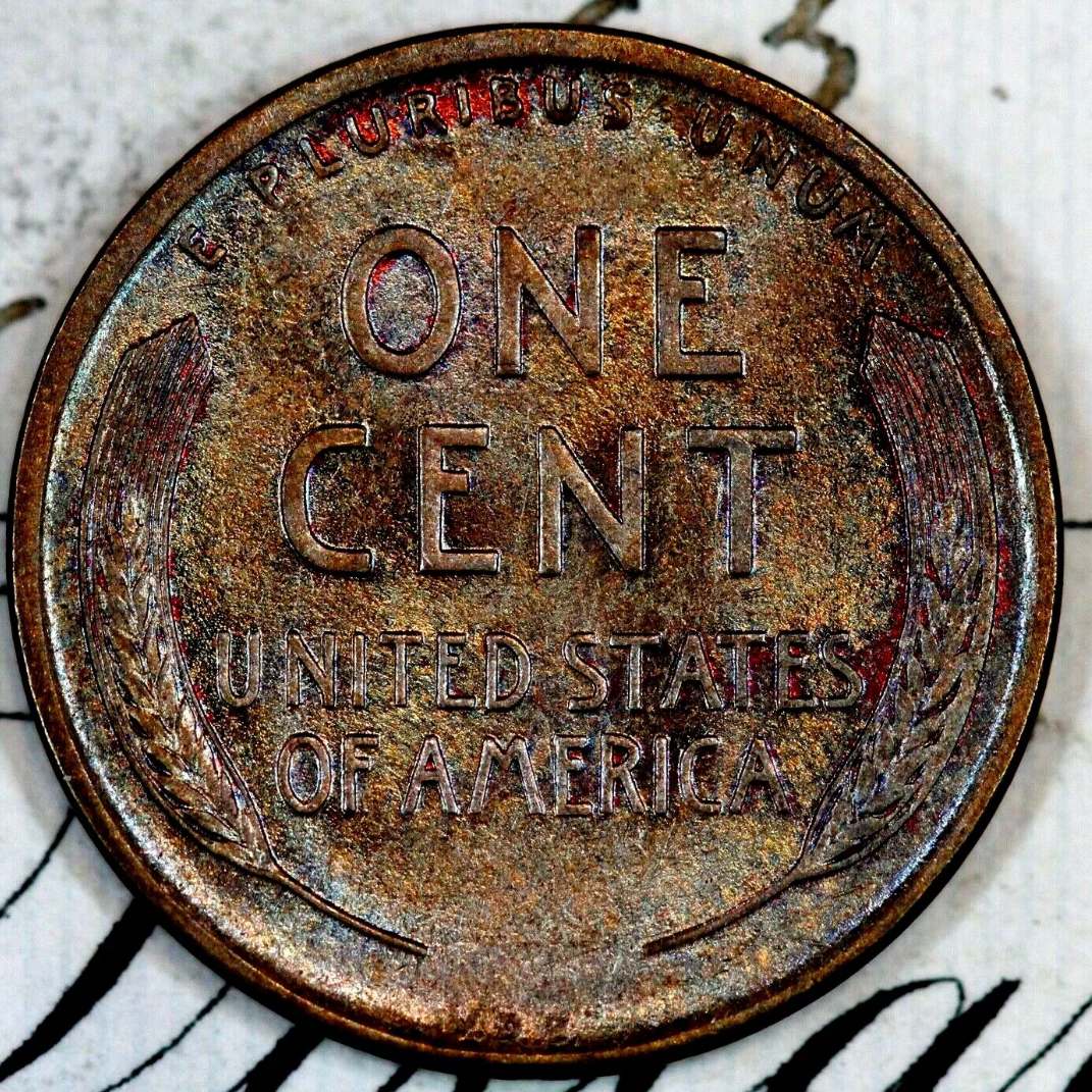 PCGS-Grades-In-From-Coins-I-Bought-Off-Ebay.