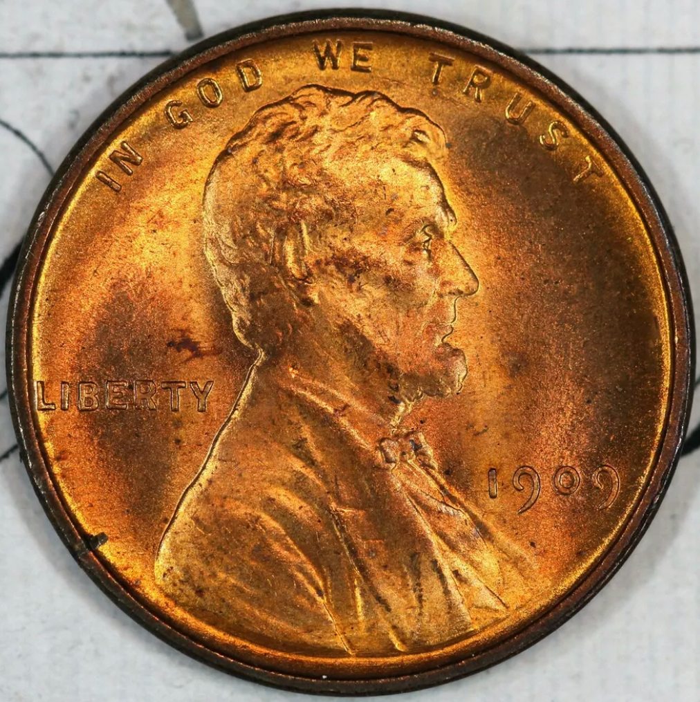 PCGS-Grades-In-From-Coins-I-Bought-Off-Ebay.