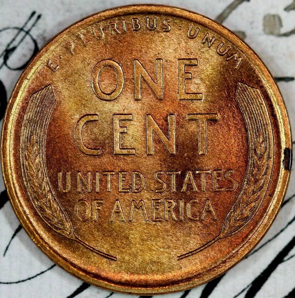 PCGS-Grades-In-From-Coins-I-Bought-Off-Ebay.