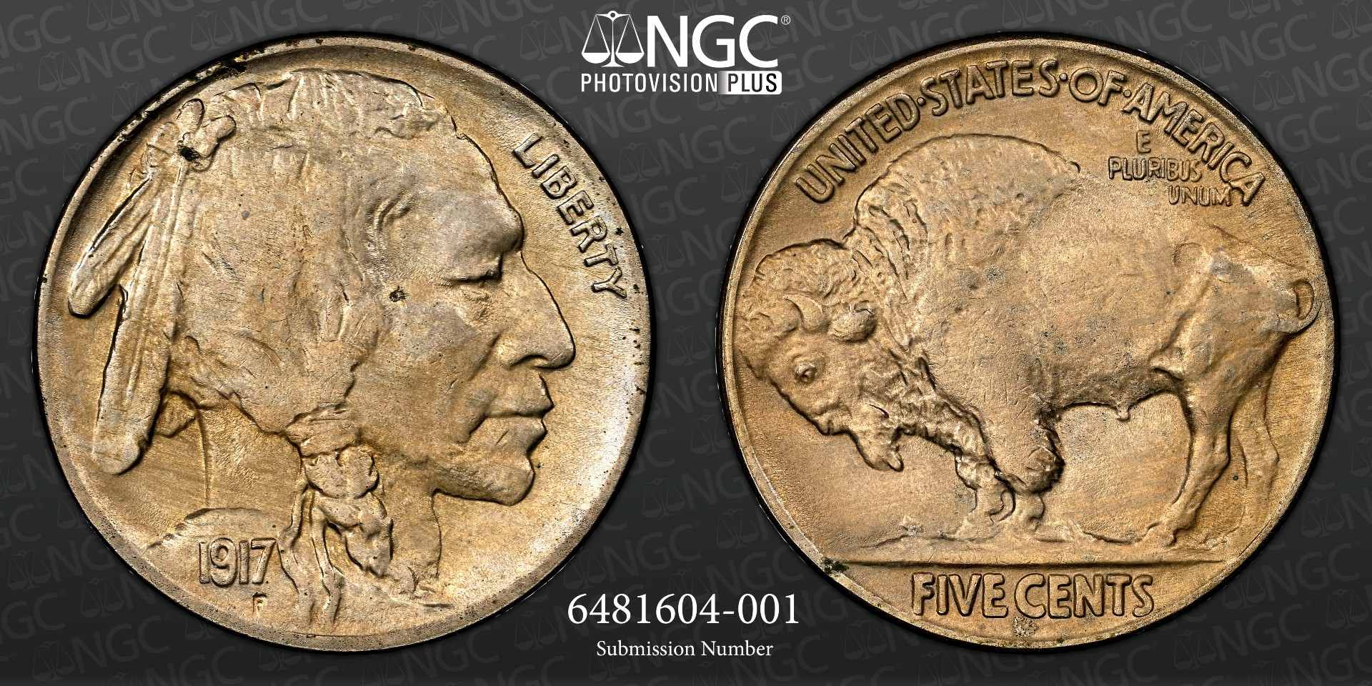 1917-P-Buffalo-Nickel-Grade