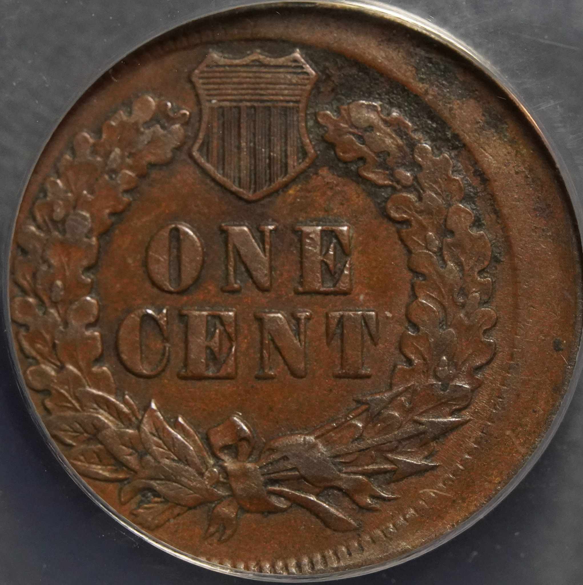ANACS-20%-Off-Center-Error-Indian-Cent.-1901