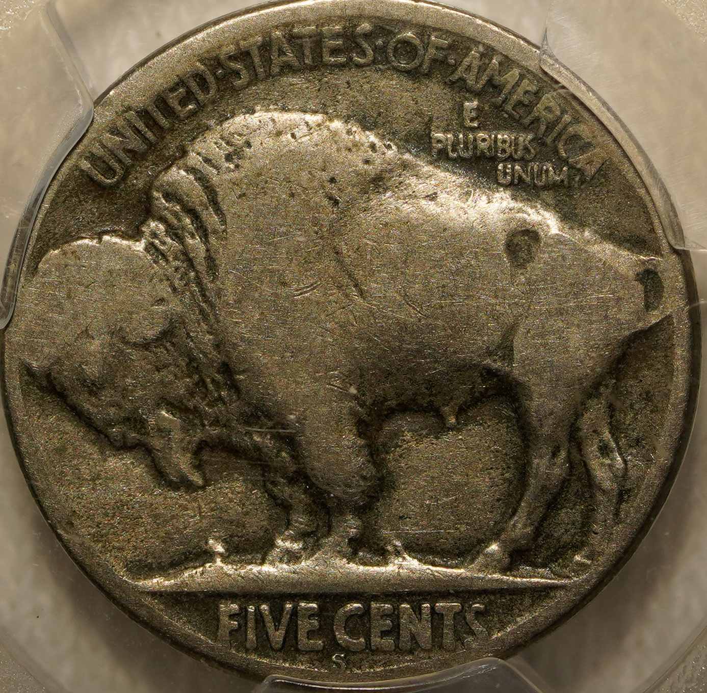 PCGS-1924-S-Buffalo-Nickel-GTG