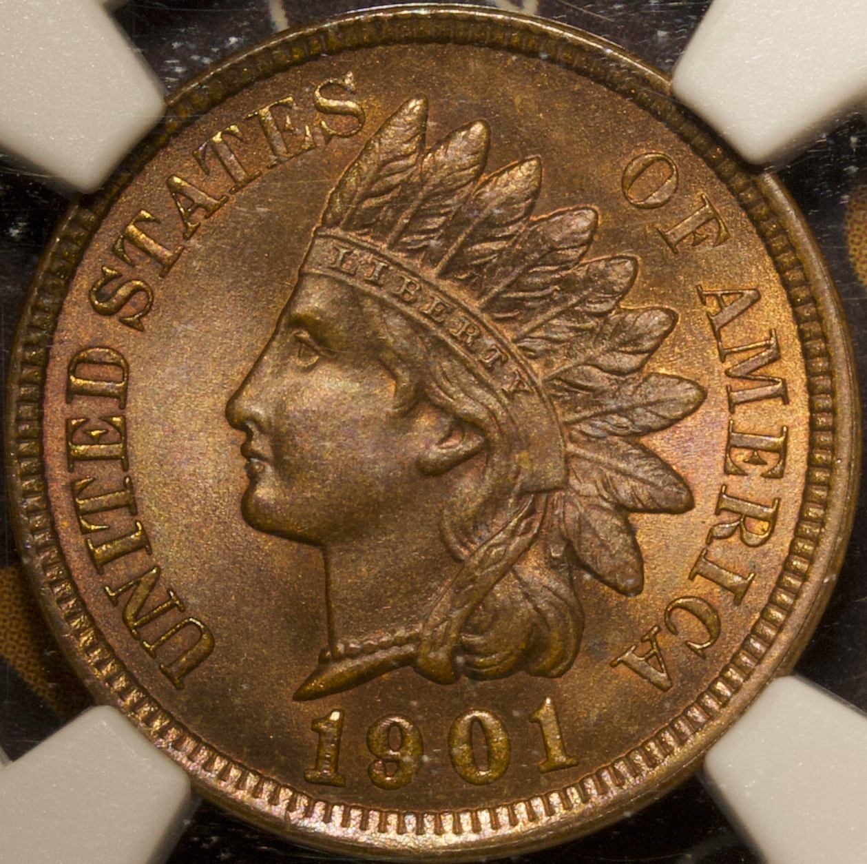 My-Camera-Setup-For-Coin-Photography
