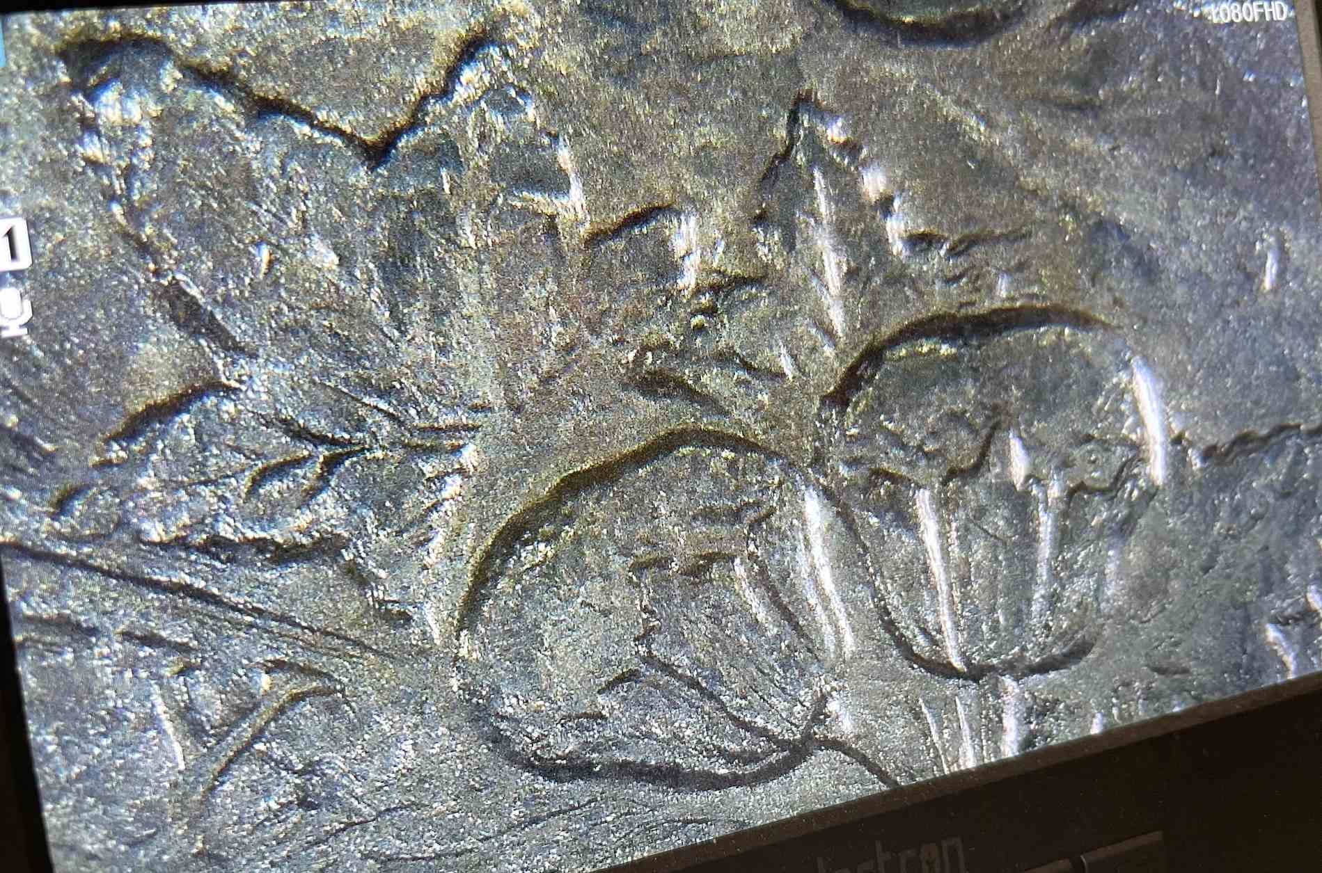 1878-S-Morgan-Dollar-VAM-Help
