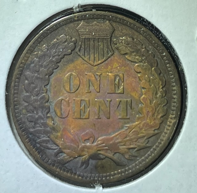 1902-Indian-Head-Cent-For-Grading
