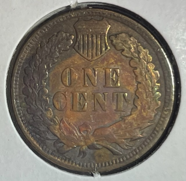 1902-Indian-Head-Cent-For-Grading