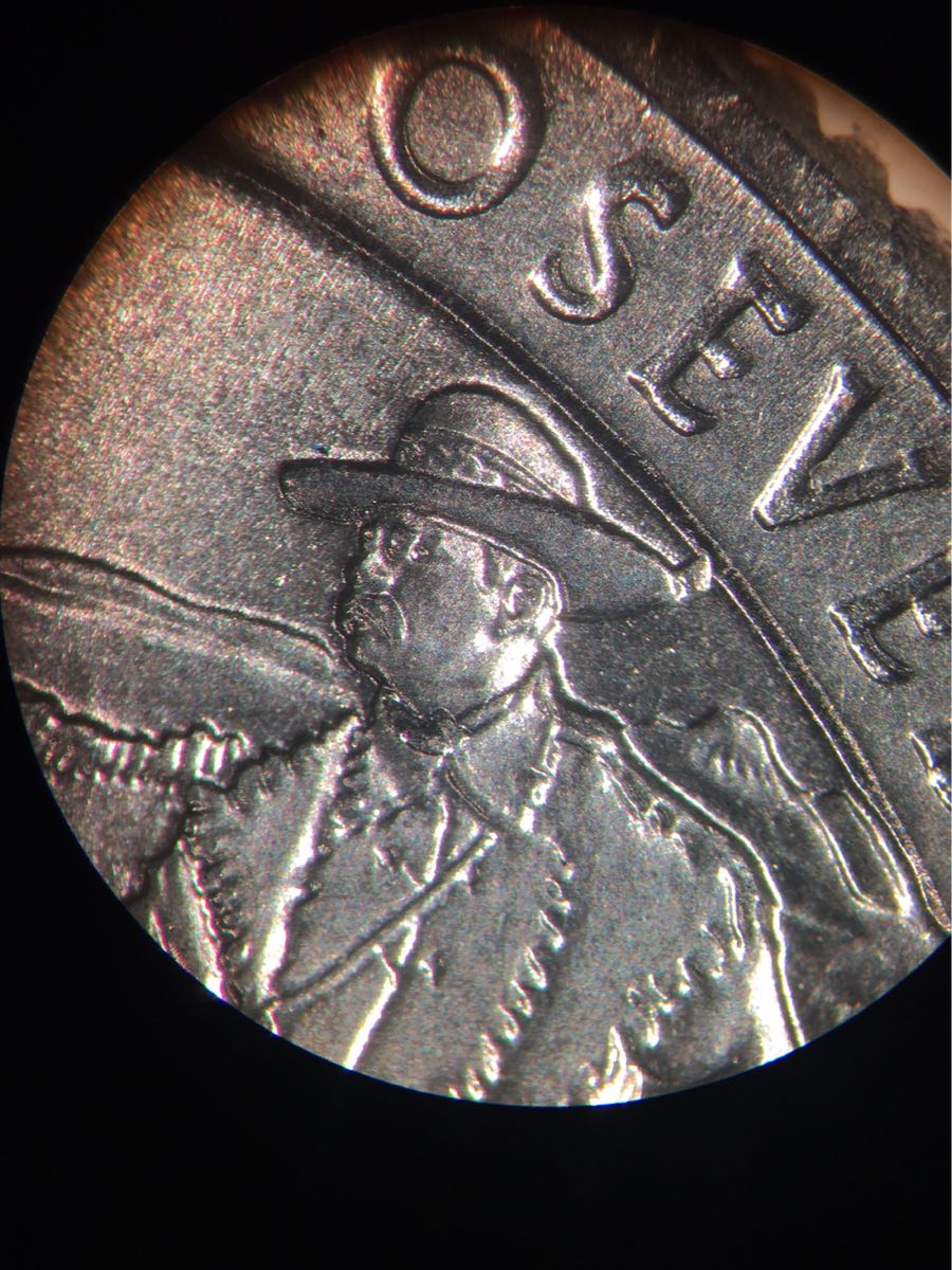 2016-P-Teddy-Roosevelt--Quarter---Possible-Chip?
