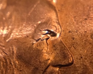 2001-D-LMC-Triple-Eyebrow.-Contact-Marks?