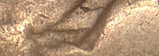 1864-Indian-Head-Cent-L-On-The-Ribbon,-Its-Faint-But-I-Believe-It-Is-There.