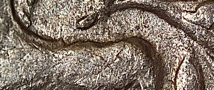 1922-P-Peace-Dollar.-B1-Reverse,-Re-Engraved-Die?